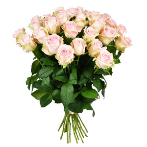 粉色玫瑰花束 送花到台湾,送花到上海,全球送花,国际送花