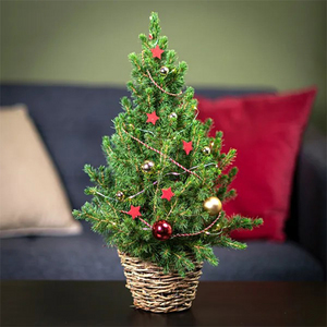 Mini Xmas Tree 送花到台灣,送花到大陸,全球送花,國際送花