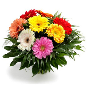 溫柔-非洲菊花束 送花到台灣,送花到大陸,全球送花,國際送花