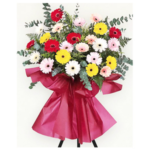 Opening Flower Basket - Cheers 送花到台灣,送花到大陸,全球送花,國際送花