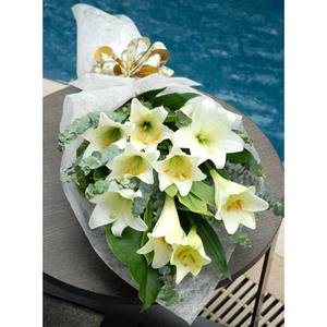 纯纯的爱-白百合花 送花到台湾,送花到上海,全球送花,国际送花