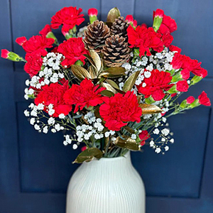 Christmas Carnation 送花到台灣,送花到大陸,全球送花,國際送花