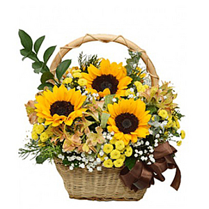 sunflower potted flower 送花到台灣,送花到大陸,全球送花,國際送花