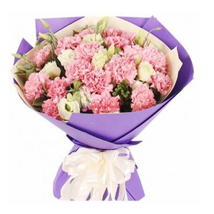 粉色康乃馨花束 送花到台灣,送花到大陸,全球送花,國際送花