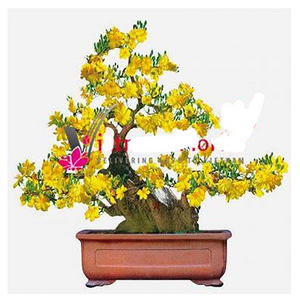 Vietnamese style-yellow apricot bouquet potted 送花到台灣,送花到大陸,全球送花,國際送花