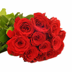 火焰玫瑰 送花到台湾,送花到上海,全球送花,国际送花