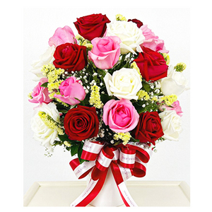 混色玫瑰盆花 送花到台湾,送花到上海,全球送花,国际送花
