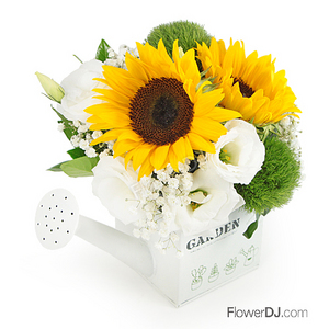 AD360 Sunflowers Mini size 送花到台灣,送花到大陸,全球送花,國際送花